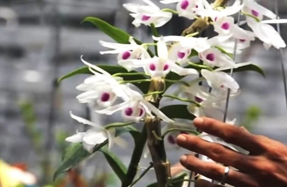 Ảnh minh họa. (Nguồn: dangcongsan.vn)