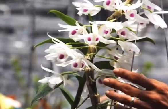 Ảnh minh họa. (Nguồn: dangcongsan.vn)