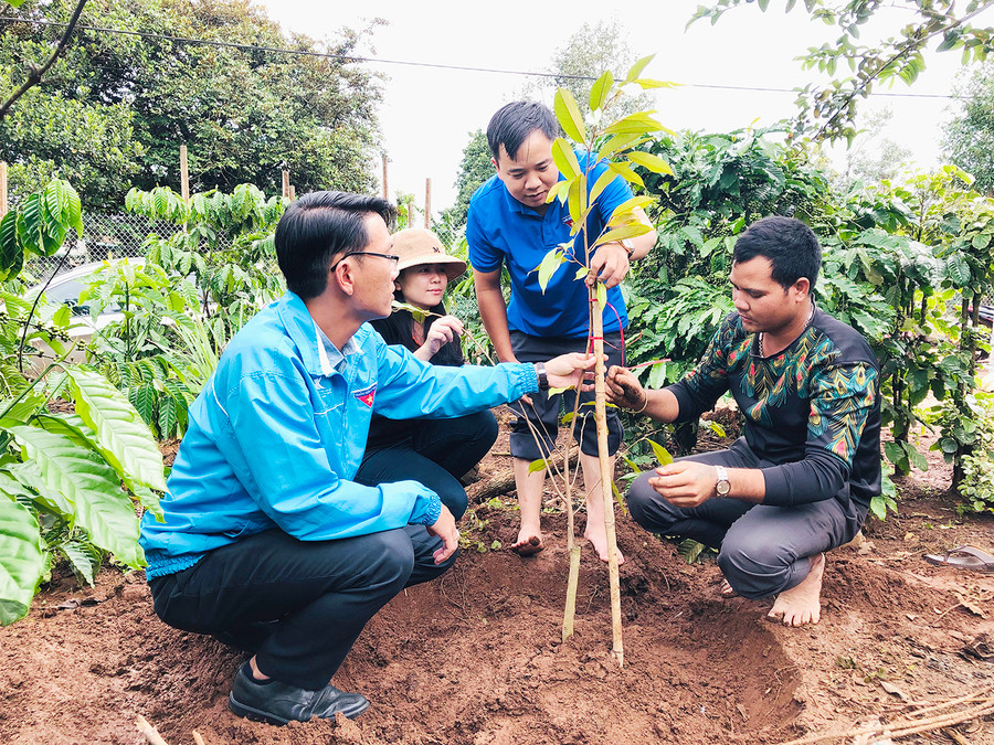 Tỉnh Đoàn tặng mô hình sinh kế cho thanh niên xã Biển Hồ (TP. Pleiku). Ảnh: Phan Lài