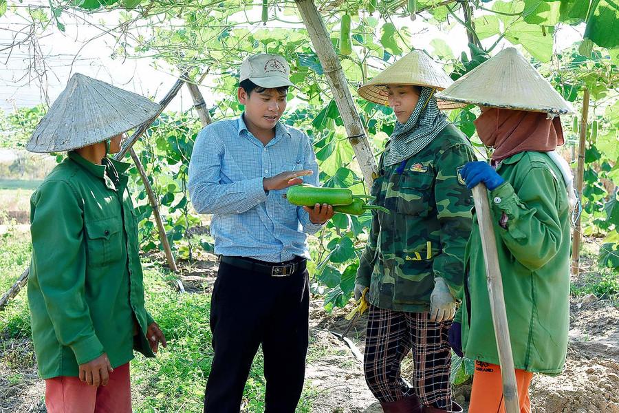 Anh Nguyễn Văn Thành, cán bộ Địa chính Nông nghiệp xã Hà Tam tuyên truyền tới bà con nhân dân sản xuất rau màu sạch đảm bảo chất lượng trước khi cung ứng ra thị trường.