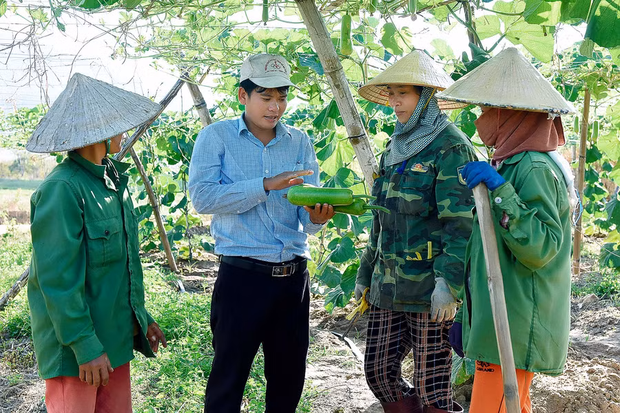 Anh Nguyễn Văn Thành, cán bộ Địa chính Nông nghiệp xã Hà Tam tuyên truyền tới bà con nhân dân sản xuất rau màu sạch đảm bảo chất lượng trước khi cung ứng ra thị trường.