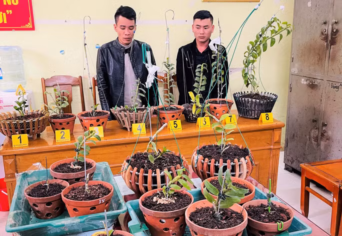 Hai thanh niên cùng số tang vật trộm cắp được