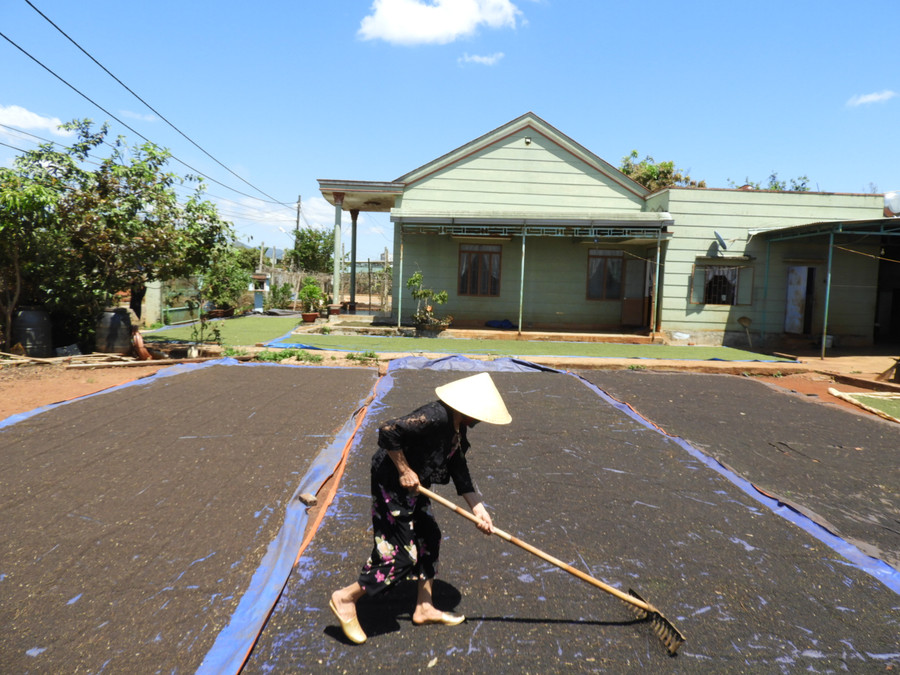 Nông dân xã Nam Yang (huyện Đak Đoa) phơi nông sản. Ảnh: Thanh Nhật