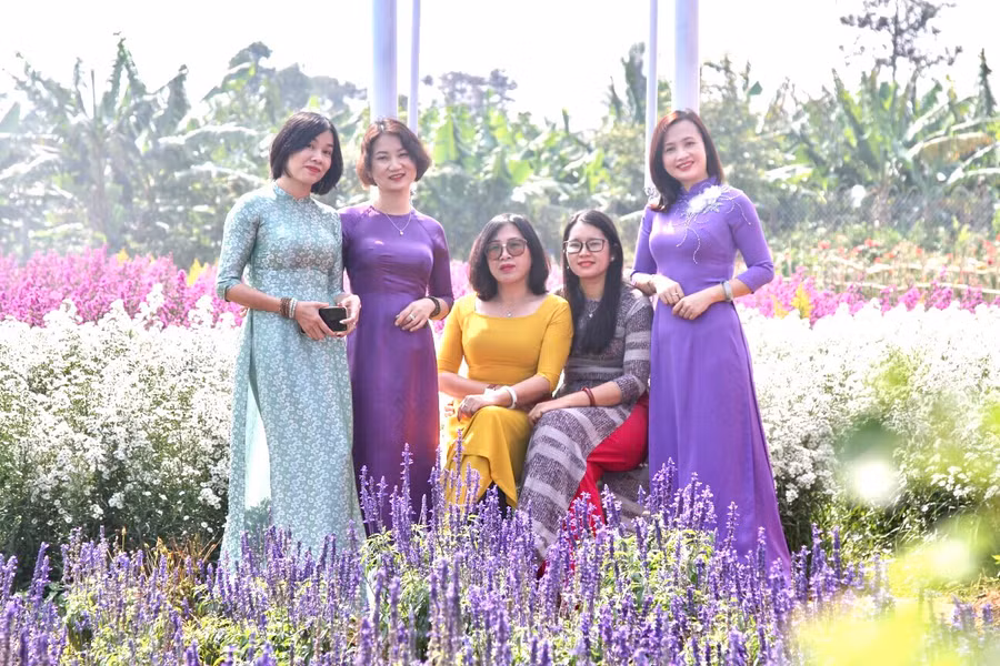  Không gian lãng mạn tràn ngập sắc hoa. Ảnh: Nguyễn Thị Diễm