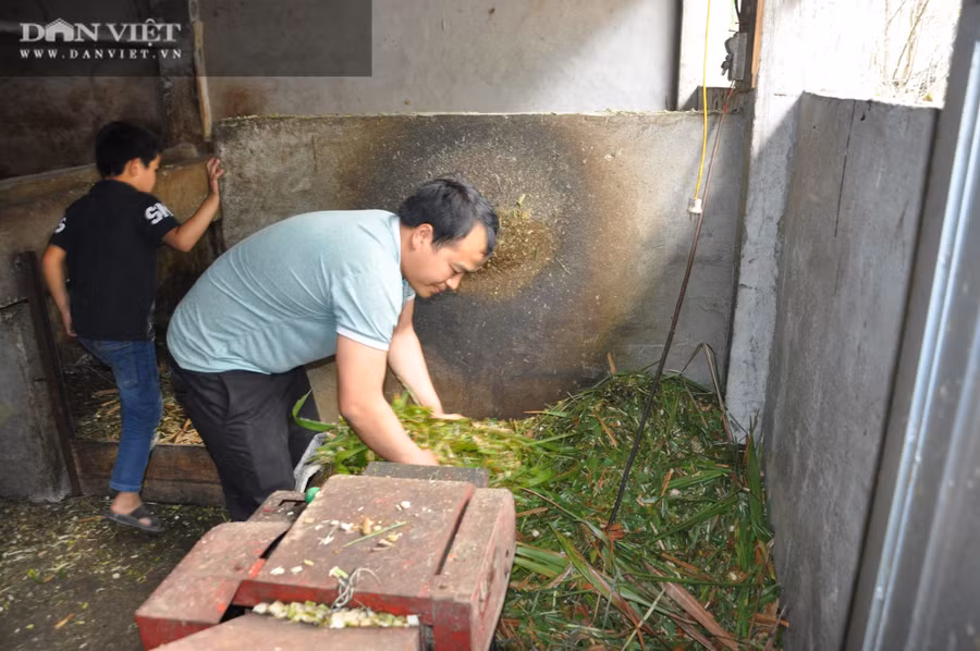 Anh Hồng đầu tư mua máy cắt cỏ hiện đại để nuôi bò vỗ béo.