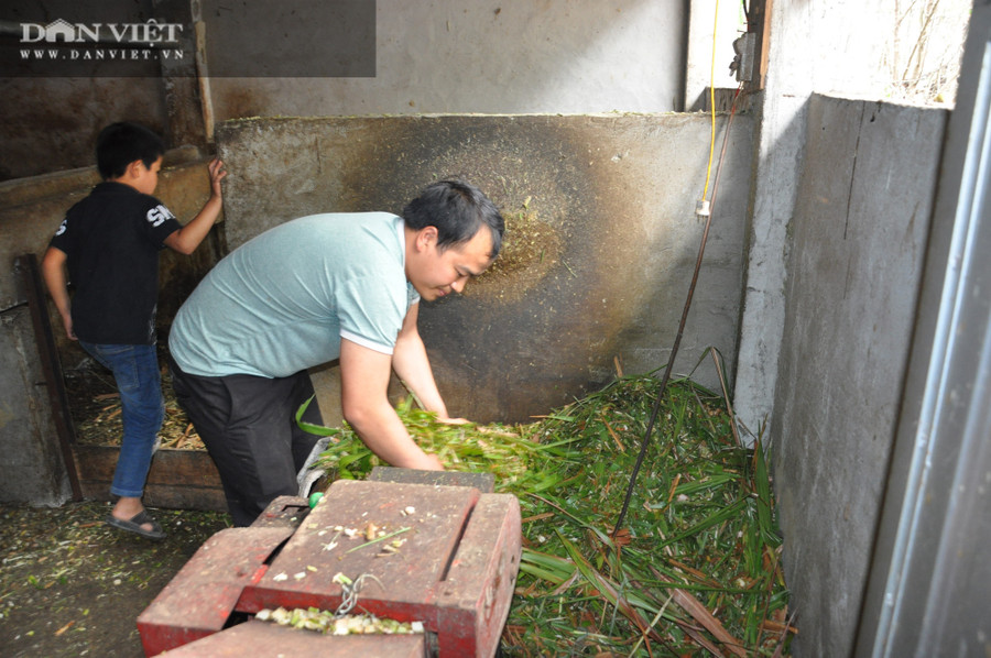 Anh Hồng đầu tư mua máy cắt cỏ hiện đại để nuôi bò vỗ béo.