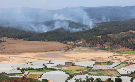 Hiện có khoảng 150ha đất sản xuất nông nghiệp sử dụng nguồn nước từ hồ, diện tích này đang tăng theo từng năm do người dân mở rộng sản xuất. Ảnh: ĐOÀN KIÊN Hiện có khoảng 150ha đất sản xuất nông nghiệp sử dụng nguồn nước từ hồ, diện tích này đang tăng theo từng năm do người dân mở rộng sản xuất. Ảnh: ĐOÀN KIÊN