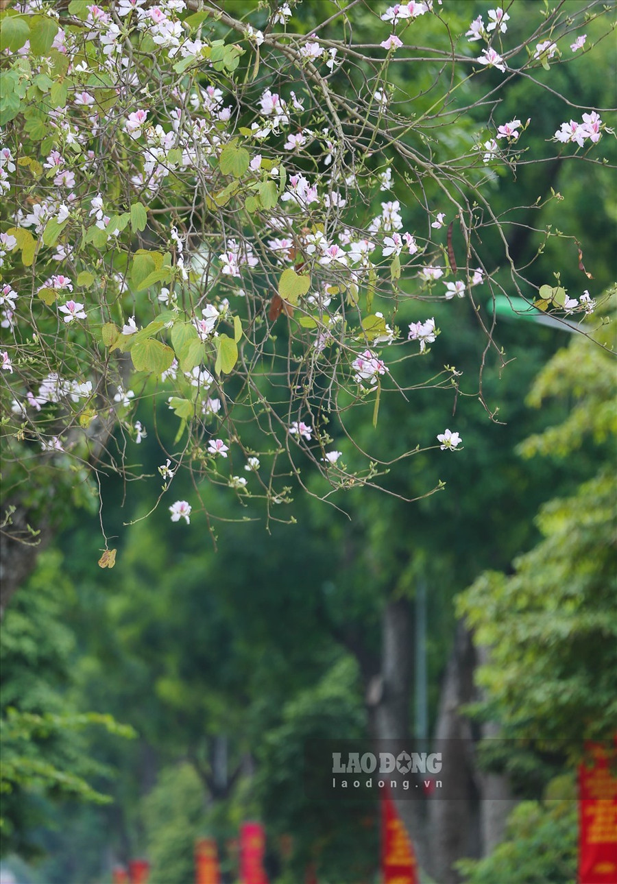 Ảnh: Tô Thế. Ảnh: Tô Thế.