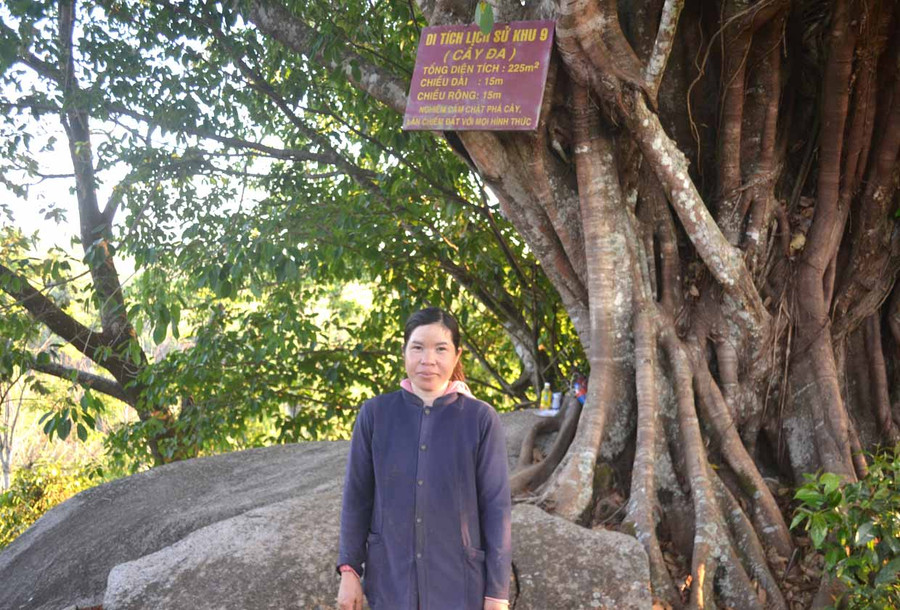 Chị Nguyễn Thị Thu Hà bên gốc đa Khu di tích lịch sử cách mạng Khu 9. Ảnh: Hoàng Minh