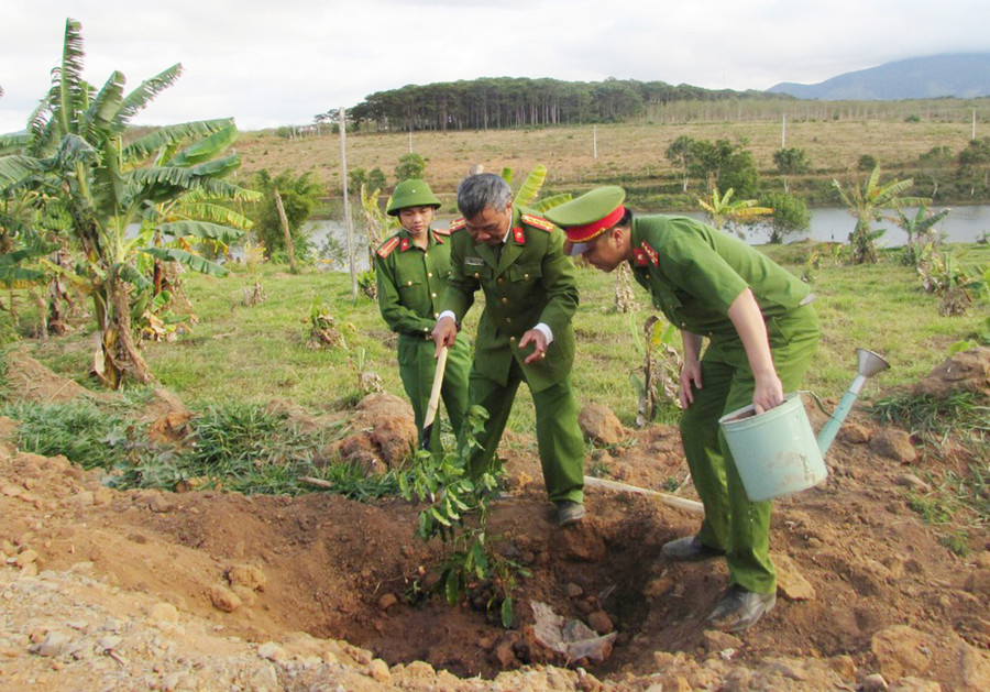 Cán bộ Trại giam Gia Trung trồng cây xanh trên các tuyến đường làng. Ảnh: Hà Phương