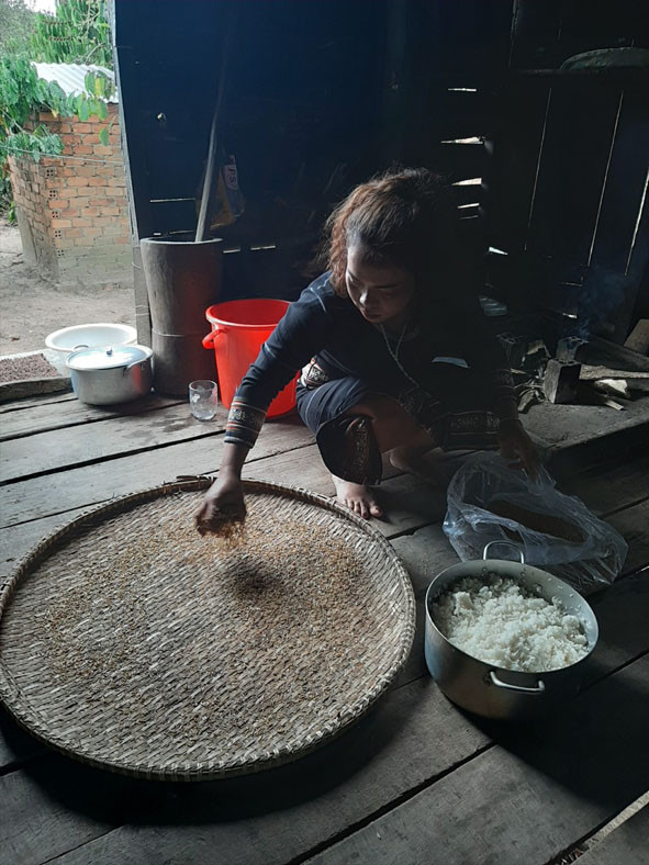 Chị H'Blây thực hiện một công đoạn trong quy trình ủ rượu cần. Chị H'Blây thực hiện một công đoạn trong quy trình ủ rượu cần.