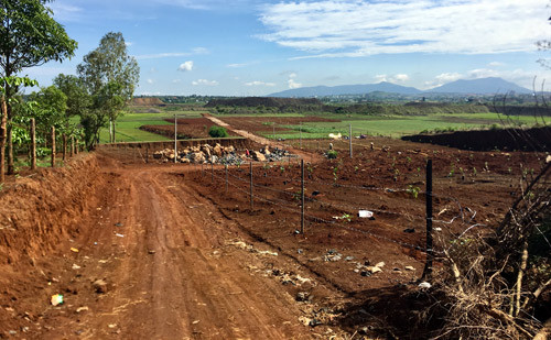 Ảnh minh họa: Internet