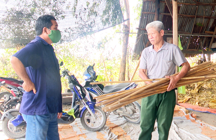 Ông Hà Duy Đông (bìa phải) chuẩn bị cây ghim thuốc lá để đưa vào lò sấy. Ảnh: Lê Nam