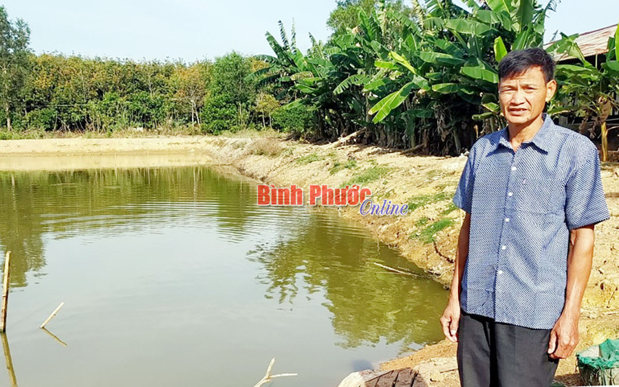  Làm kinh tế từ mô hình vườn - ao - chuồng, mỗi năm gia đình ông Phạm Văn Lai thu tiền tỷ