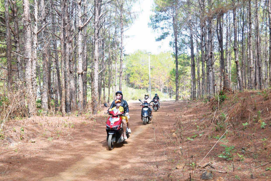 Du khách tham quan rừng thông Biển Hồ (TP. Pleiku). Ảnh: Hoàng Cư