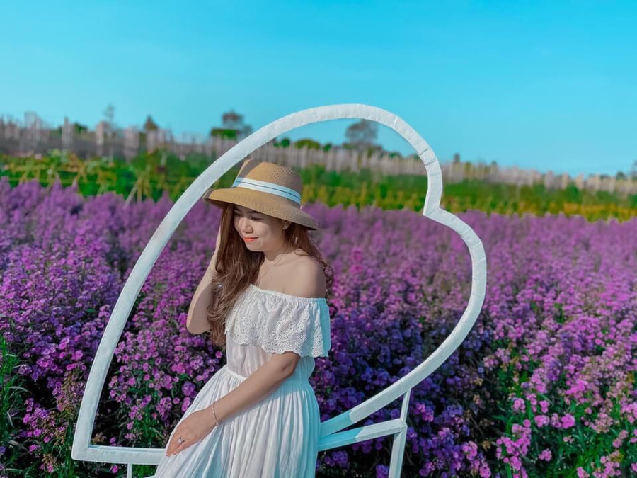 Tha hồ góc “sống ảo” tuyệt đẹp. Ảnh: Nguyễn Thị Diễm