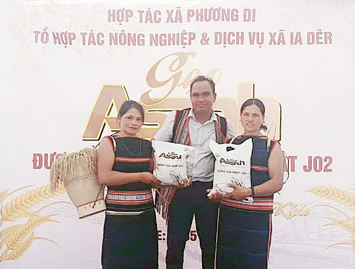 Huyện Ia Grai đang hướng đến xây dựng thương hiệu gạo A Sanh thành sản phẩm OCOP. Ảnh: Vũ Thảo