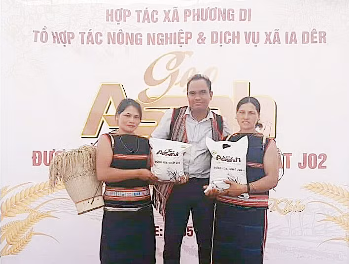 Huyện Ia Grai đang hướng đến xây dựng thương hiệu gạo A Sanh thành sản phẩm OCOP. Ảnh: Vũ Thảo