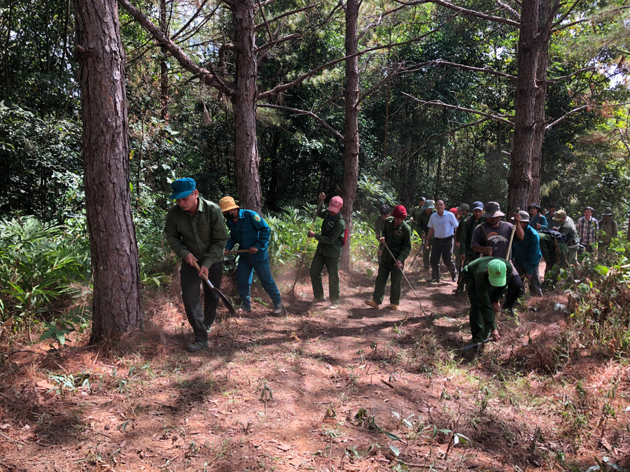 Tổ PCCCR (Ban Quản lý rừng phòng hộ Ia Ly) phát dọn đường ranh cản lửa phòng-chống cháy rừng. Ảnh: Lê Nam