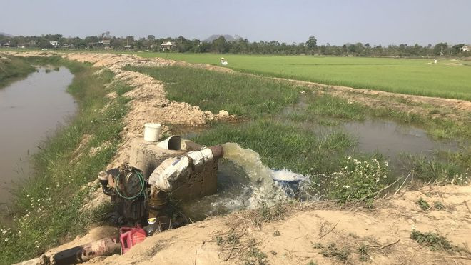 Người dân phải tự dùng máy bơm để bơm nước vào ruộng. Ảnh: THANH QUÂN Người dân phải tự dùng máy bơm để bơm nước vào ruộng. Ảnh: THANH QUÂN