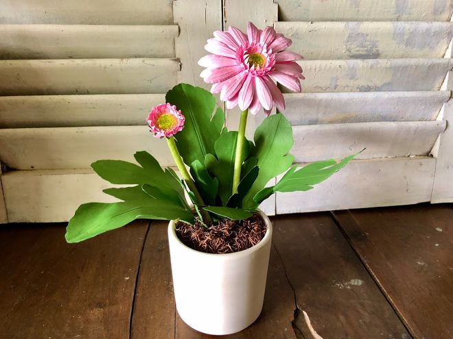 Một chậu hoa khoe sắc trông như thật. ẢNH: DUY TÂN