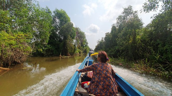 Hai bên bờ sông là hàng cây xanh rì - Ảnh: Tấn Đạt