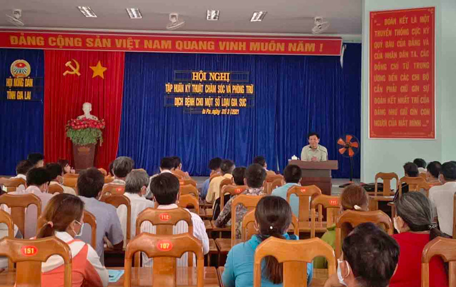 Gần 100 hội viên nông dân huyện Ia Pa tham dự hội nghị tập huấn kỹ thuật chăm sóc và phòng trừ dịch bệnh cho một số loại gia súc. Ảnh.Vũ Chi
