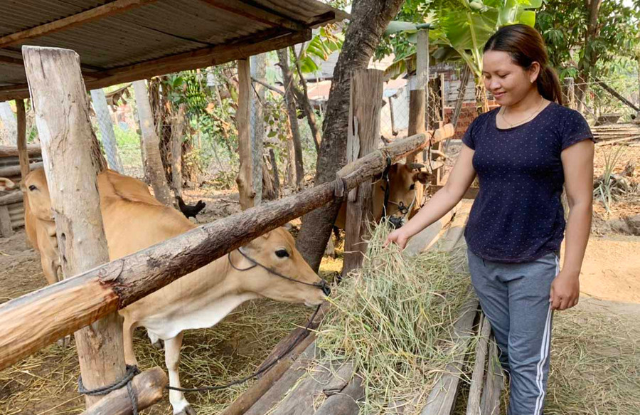 Nhờ nguồn vốn của Quỹ Hỗ trợ nông dân tỉnh, chị Rchâm Cúc (buôn Ma Rin 1, xã Ia Ma Rơn, huyện Ia Pa) đầu tư phát triển chăn nuôi. Ảnh: Vũ Chi