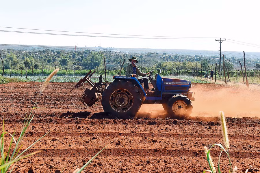 Hội viên ứng dụng các tiến bộ khoa học và sản xuất rau an toàn.