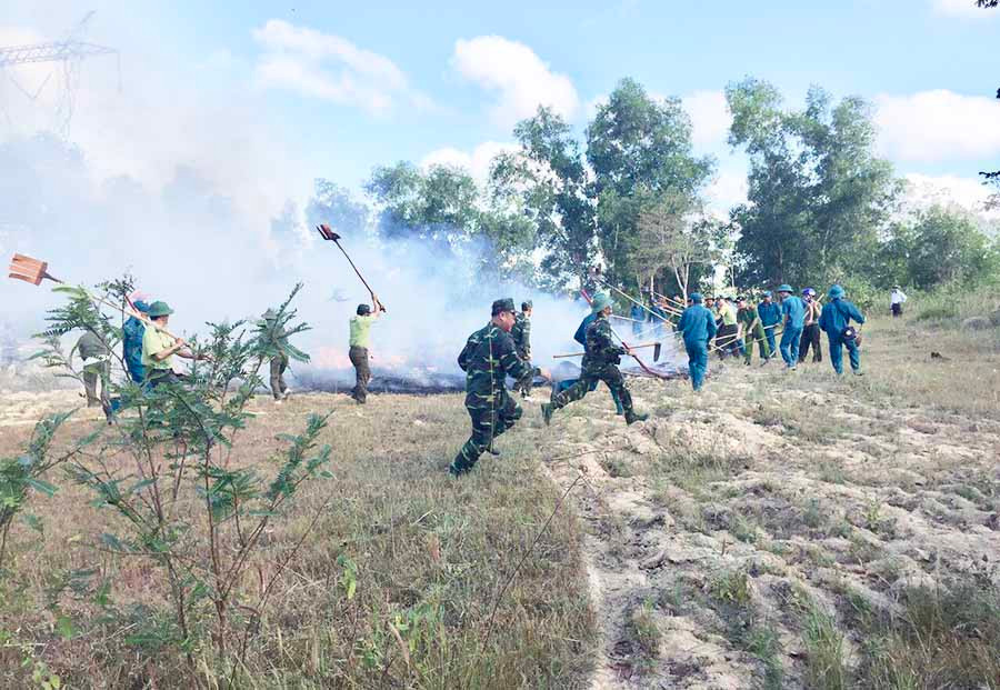  Diễn tập các phương án chữa cháy rừng. Ảnh: Ngọc Thu