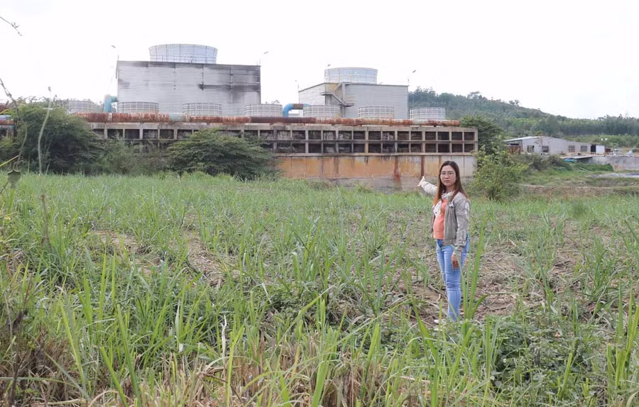 Người dân thôn 2 (xã Thành An) chỉ tay về khu vực xử lý nước thải của nhà máy gây ảnh hưởng tới sức khỏe. Ảnh: Nhật Hào