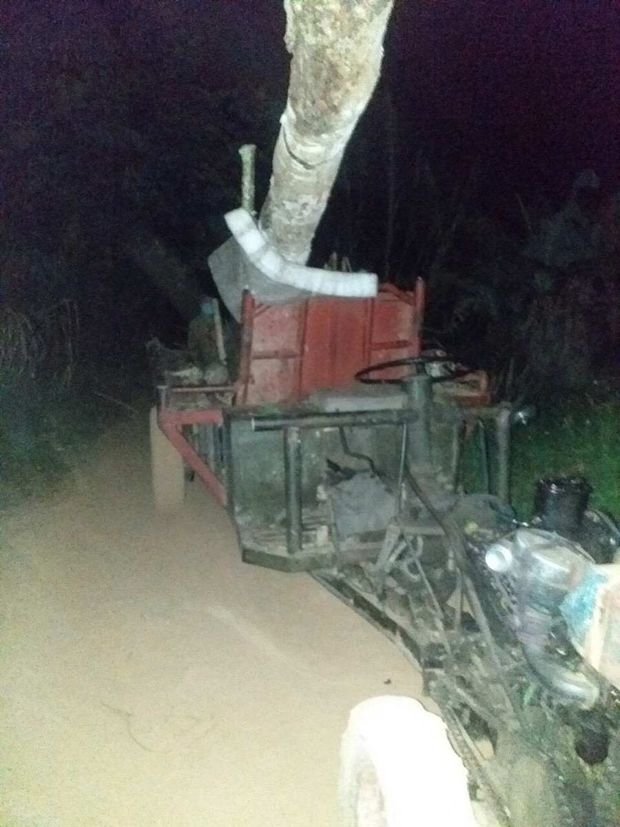 Một cây gỗ lớn có đường kín khoảng 40cm, dài hơn 3m đã bị khai thác trái phép. Ảnh: Bảo Lâm