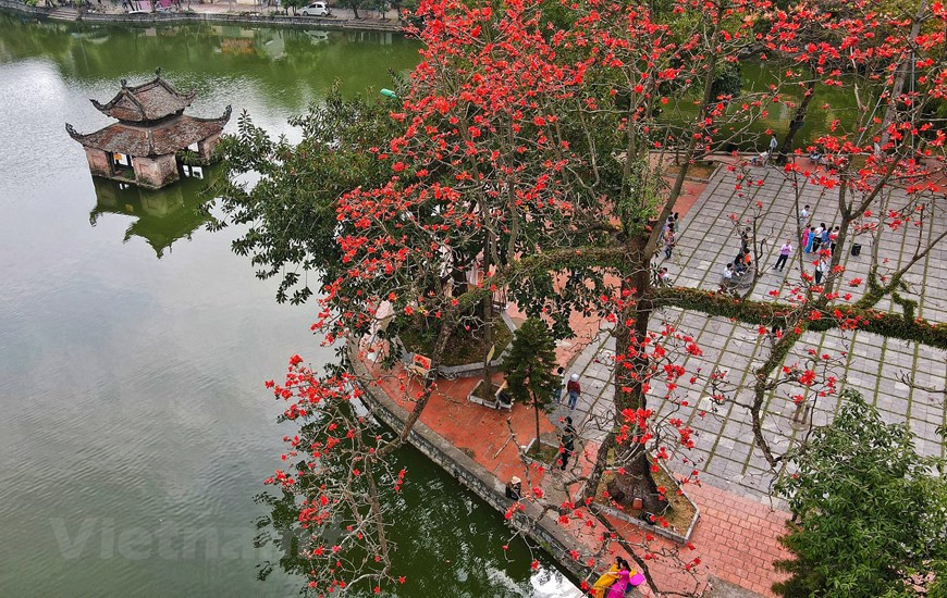 Những ngày tháng Ba, về dưới chân núi Sài Sơn (huyện Quốc Oai, Hà Nội) sẽ thấy hoa gạo nở đỏ rực cả khoảng trời.(Ảnh: Nam Nguyễn/Vietnam+) Những ngày tháng Ba, về dưới chân núi Sài Sơn (huyện Quốc Oai, Hà Nội) sẽ thấy hoa gạo nở đỏ rực cả khoảng trời.(Ảnh: Nam Nguyễn/Vietnam+)