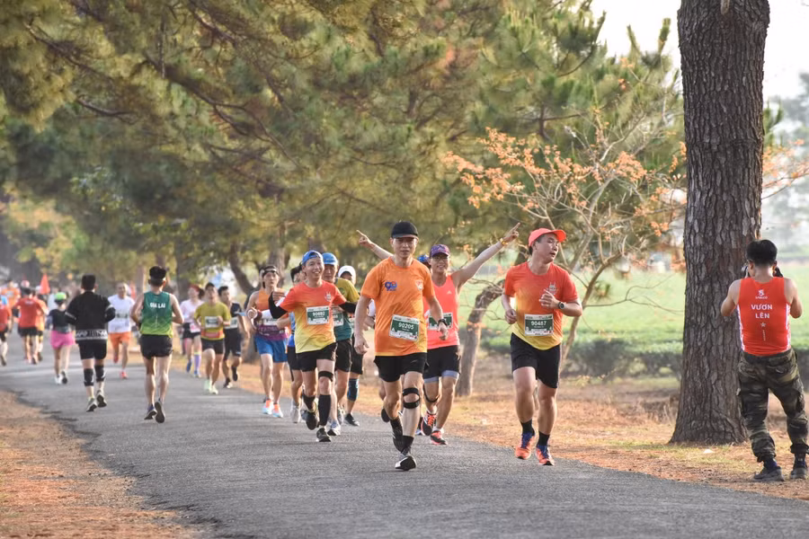 Vận động viên Đà Nẵng