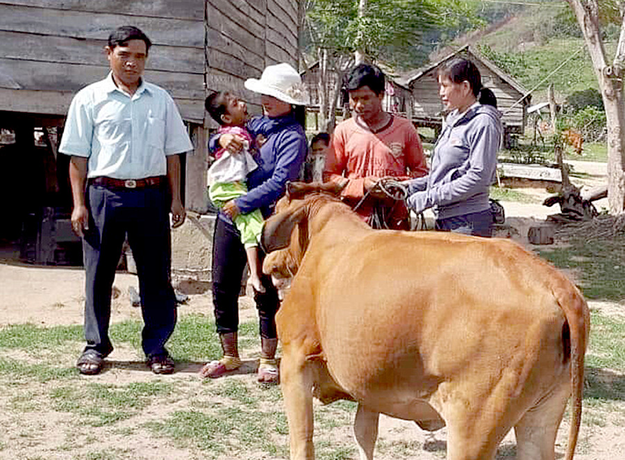 Tặng bò cho gia đình nạn nhân chất độc da cam/dioxin ở xã Ia Drăng (huyện Chư Prông). Ảnh: Hà Phương
