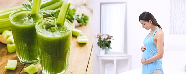 Phụ nữ mang thai tuyệt đối không nên uống nước ép cần tây. Phụ nữ mang thai tuyệt đối không nên uống nước ép cần tây.