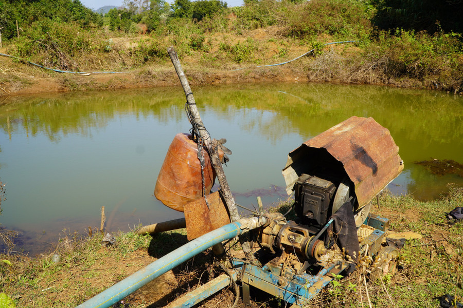 ... Hoặc các ao tự đào và ao tự nhiên.