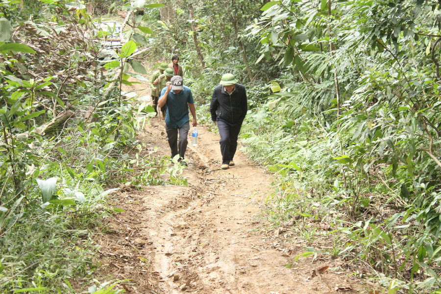 Lực lượng chức năng kiểm tra hiện trường vụ phá rừng tại xã Lơ Ku (huyện Kbang, tỉnh Gia Lai). Ảnh: Nguyễn Diệp