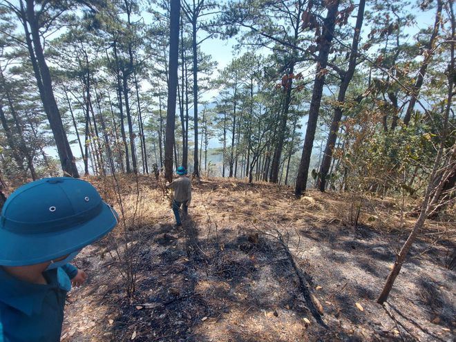 Nếu để xảy ra phá rừng, cháy rừng thì các địa phương, đơn vị liên quan phải chịu trách nhiệm. ẢNH: G.B