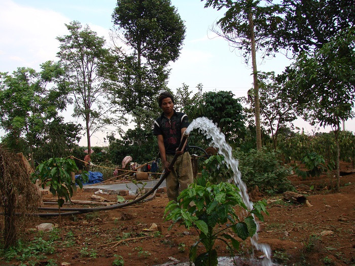  Vào mùa khô, nhu cầu sử dụng điện để bơm tưới nước cho cây trồng của người dân tăng cao