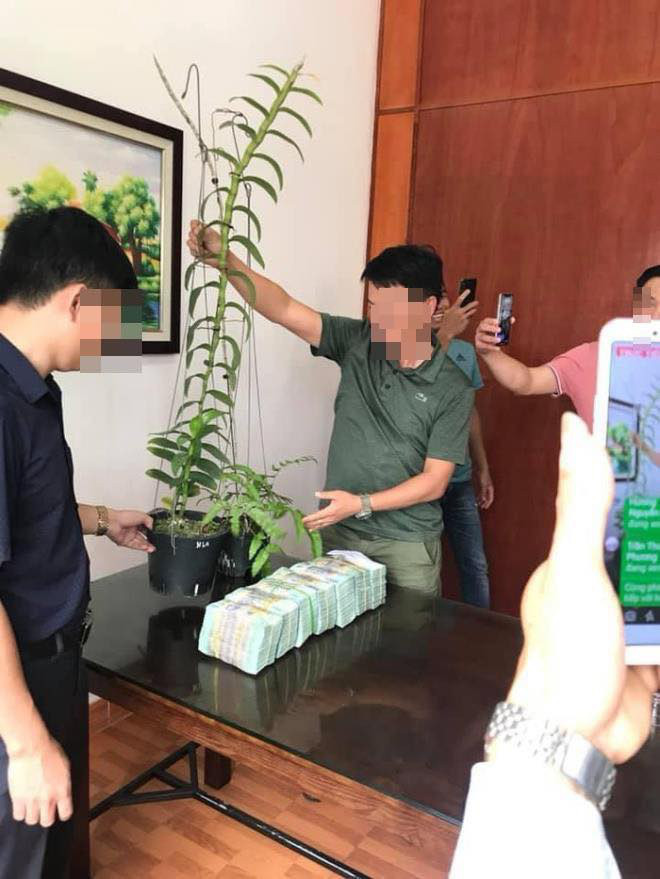  Quảng bá, giao dịch lan đột biến tiền tỷ trên mạng xã hội. Ảnh: CATQ