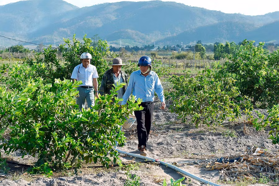 Nông dân Hà Tam mạnh dạn đầu tư hệ thống tưới nhỏ giọt để tiết kiệm nước để giảm công lao động, tăng năng suất cây trồng và góp phần tiết kiệm tài nguyên nước.