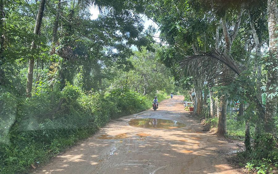  Con đường đất để đến Rạch Vẹm.