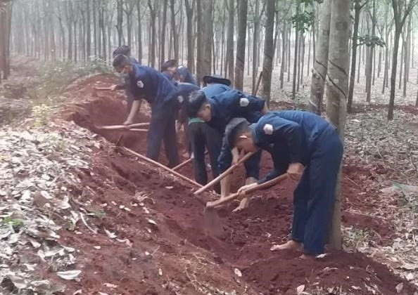 Các chiến sỹ Đội K72 đang đào tìm và cất bốc các phần mộ liệt sỹ tại khu vực Nông trường 1 - Công ty cao su Lộc Ninh, thuộc địa bàn ấp Măng Cải, xã Lộc Thiện, huyện Lộc Ninh, tỉnh Bình Phước. (Nguồn: TTXVN phát)