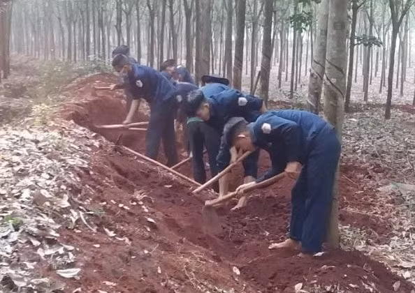 Các chiến sỹ Đội K72 đang đào tìm và cất bốc các phần mộ liệt sỹ tại khu vực Nông trường 1 - Công ty cao su Lộc Ninh, thuộc địa bàn ấp Măng Cải, xã Lộc Thiện, huyện Lộc Ninh, tỉnh Bình Phước. (Nguồn: TTXVN phát)