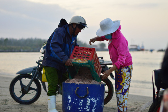  Vận chuyển ruốc lên xe để giao cho thương lái tại bãi biển Thọ Quang, quận Sơn Trà, TP Đà Nẵng.