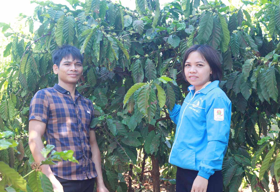 Chị Rah Lan Đinh-Bí thư Đoàn xã Ia Pal (huyện Chư Sê) kiểm tra mô hình phát triển kinh tế của thanh niên. Ảnh: Phan Lài Chị Rah Lan Đinh-Bí thư Đoàn xã Ia Pal (huyện Chư Sê) kiểm tra mô hình phát triển kinh tế của thanh niên. Ảnh: Phan Lài