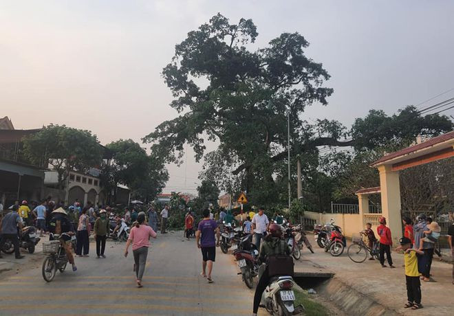 Cây đa làng Trù nằm sát ngay bên đường dân sinh ẢNH CTV Cây đa làng Trù nằm sát ngay bên đường dân sinh ẢNH CTV