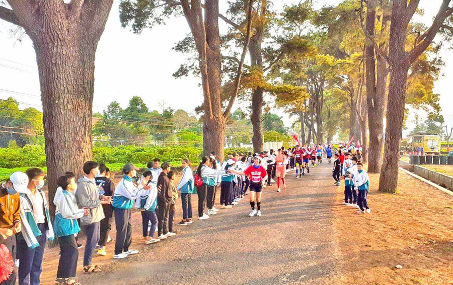 Các vận động viên chạy qua hàng thông trăm tuổi nhận được sự cổ vũ nhiệt tình của đông đảo học sinh. Ảnh: Võ Đình Khoa Các vận động viên chạy qua hàng thông trăm tuổi nhận được sự cổ vũ nhiệt tình của đông đảo học sinh. Ảnh: Võ Đình Khoa