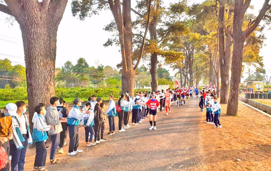 Các vận động viên chạy qua hàng thông trăm tuổi nhận được sự cổ vũ nhiệt tình của đông đảo học sinh. Ảnh: Võ Đình Khoa